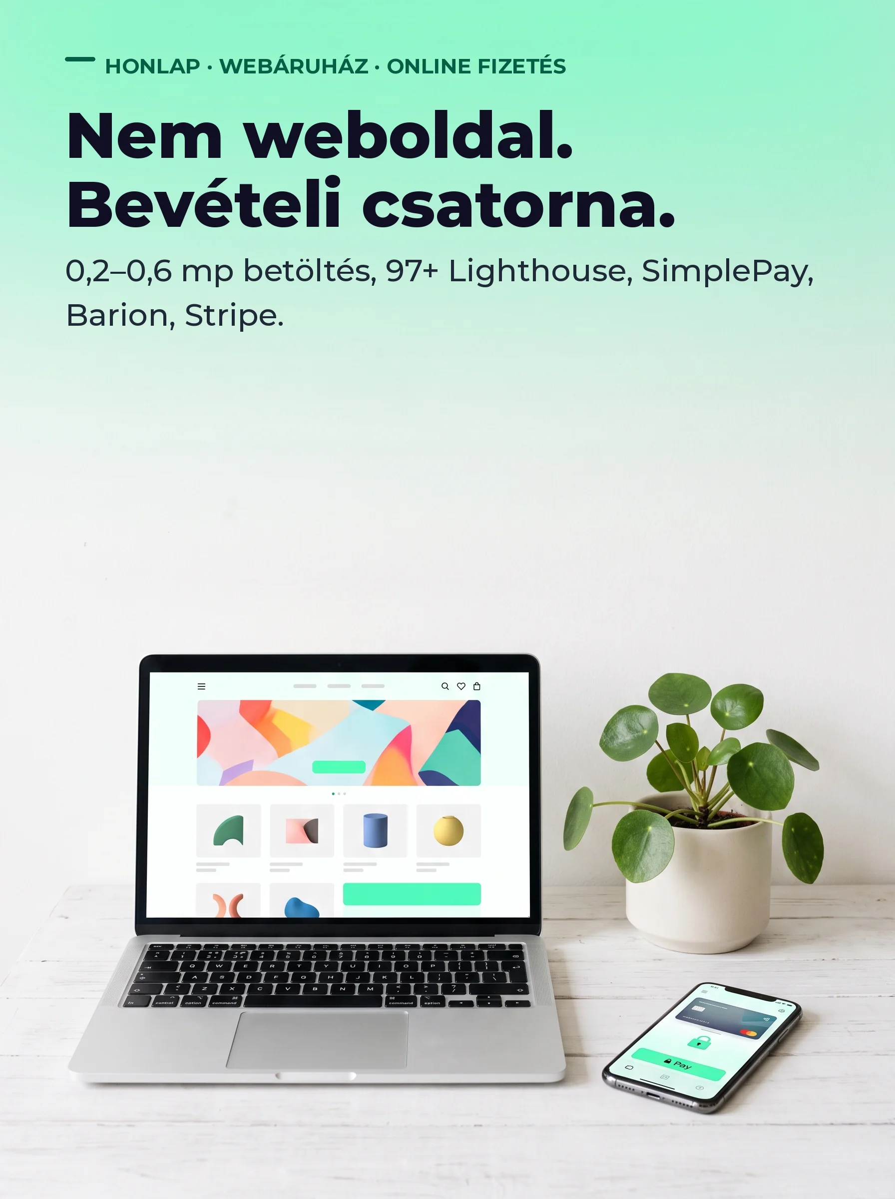Nem weboldal. Bevételi csatorna. – Honlap, webáruház és online fizetés