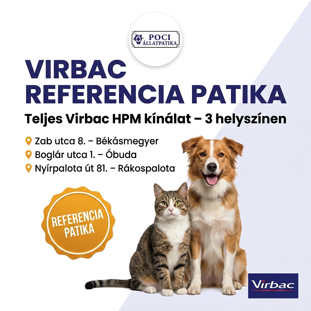Social media szolgáltatás