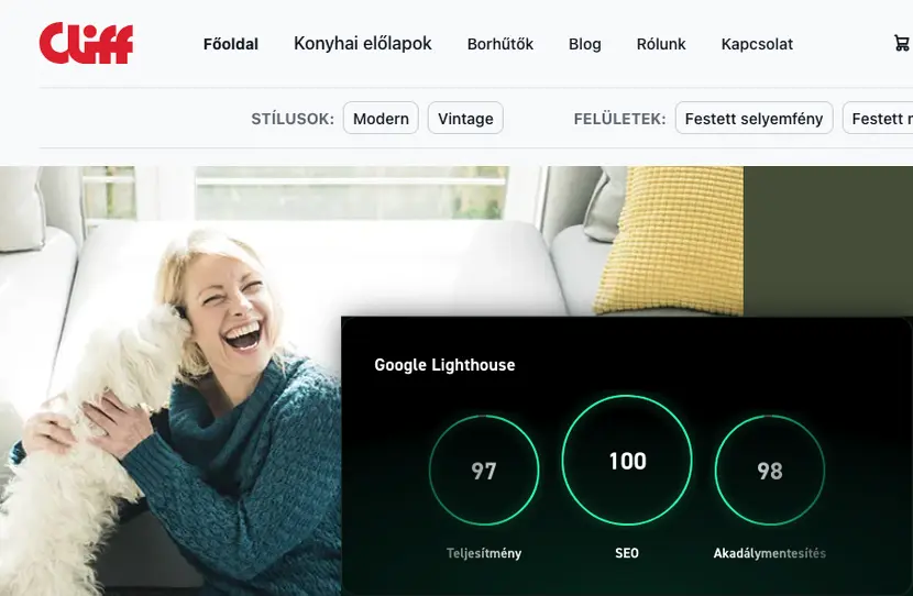 Lighthouse pontszámok