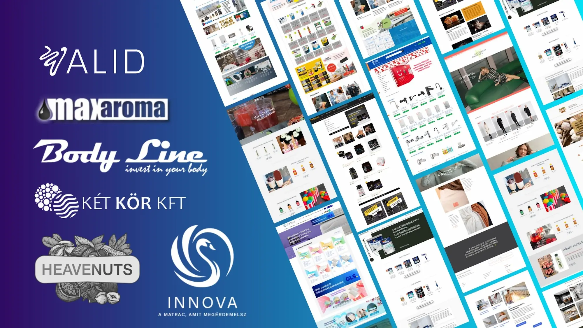 E-commerce projektek – Valid, MaxAroma, Body Line